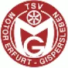 TSV M Gispersleben